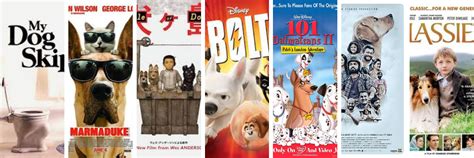 25 Must Watch Dog Movies For Every Dog Lover Watch Now