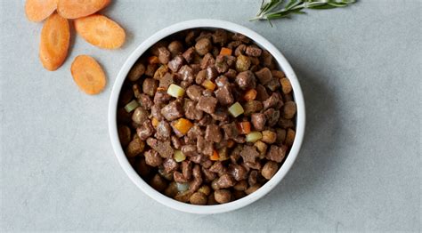 Less is more for doggies with a sensitive gut. Tails.com - Dog Food For Dog With Pancreatitis: How Food ...