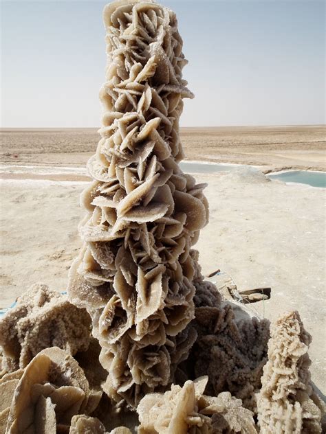 Pin By Aimee Lim On Imagination Fuel Natural Phenomena Desert Rose