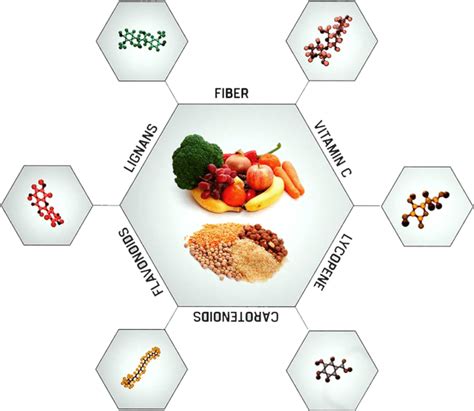 Important Nutrients The Game Changers