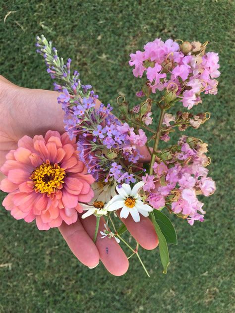 Garden Posy Flowers Posy Floral