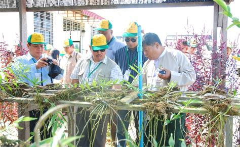 Tanaman padi di malaysia merupakan tanaman utama memandangkan padi ialah makanan asasi masyarakat di rantau ini. Anim Agro Technology: KONSEP PELABURAN PERTANIAN