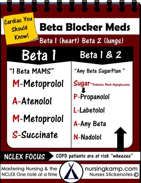 Beta 1 Beta 2 Beta Blockers Selective receptor sites for 