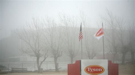 Tyson Foods Idles Its Largest Pork Plant After Iowa Outbreak