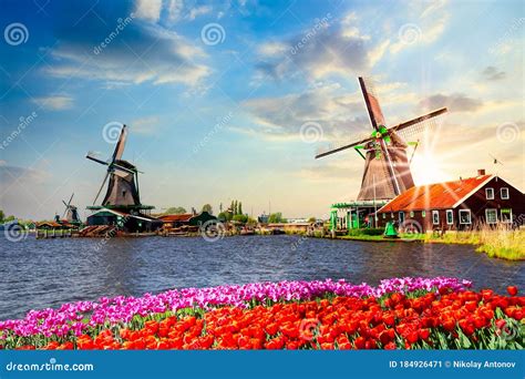 Typical Iconic Landscape In The Netherlands Europe Traditional