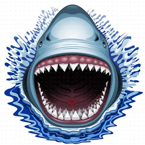 Shark Mouth Vector At Getdrawings Free Download