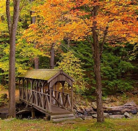 Wooden Bridge In The Forest Source Covered Bridges