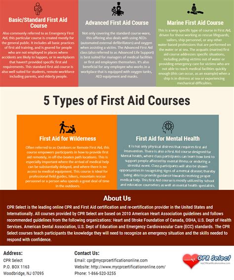5 Types Of First Aid Courses The Graphical Representation Shows The