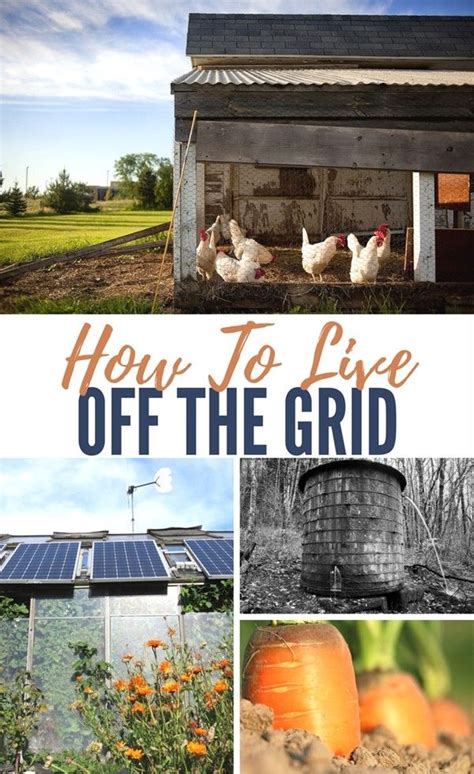 10 Best Way To Live Off The Grid Article Kacang Sancha Inci