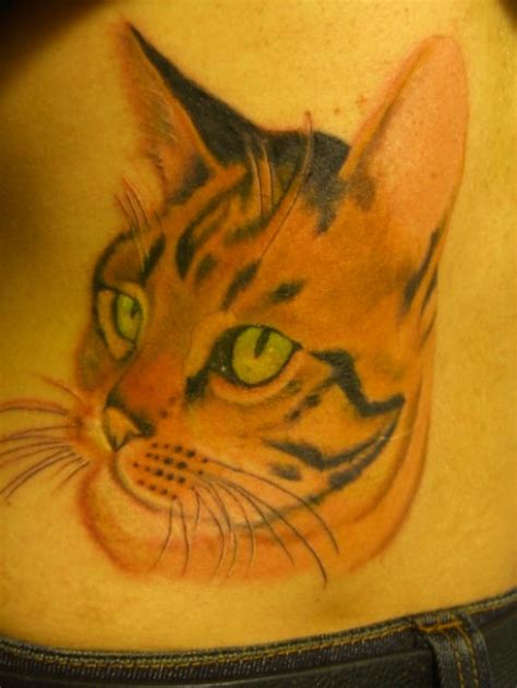 the best tats of pussy cats