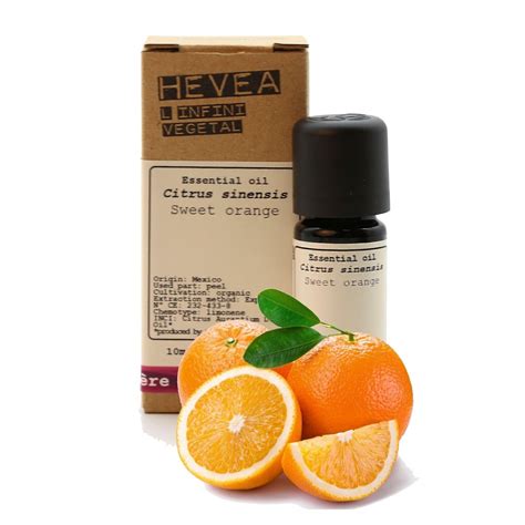Sweet orange belongs to rutaceae family (citrus genus) that contains about 1700 species. Organic Sweet Orange Essential Oil from Hevea