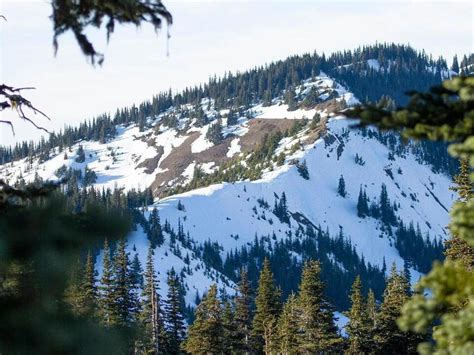 Hurricane Ridge Aims For Summer Reopening Despite Challenges After