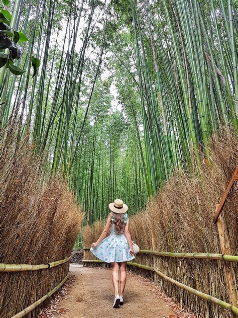 Arashiyama Bamboo Forest Japan How To See In Kyoto Travels