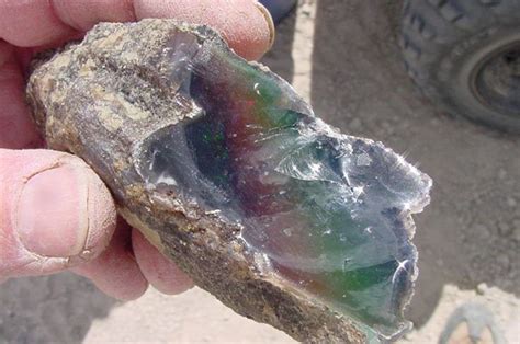 Dig For Your Own Opals At Bonanza Opal Mine In Nevada Gem Hunt