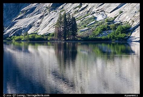 Picturephoto Trees And Granite Slabs Reflected Merced Lake Yosemite