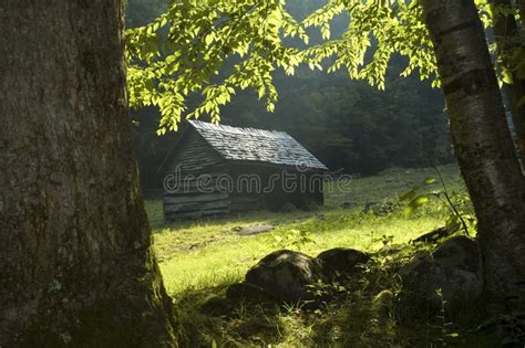 Cabin In The Woods Stock Photo Image Of Barn Sunlight 764602