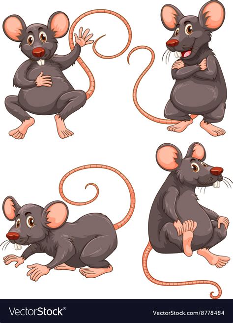 Mouse With Gray Fur In Four Actions Royalty Free Vector