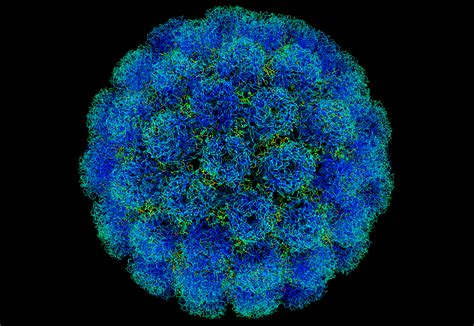Viruses have been around for decades (the first virus was created in 1971) and is so synonymous with the concept of malware that some people refer to unlike other kinds of malware, a virus lies dormant until it's activated — it's unable to execute itself on its own. SV40 - Wikipedia