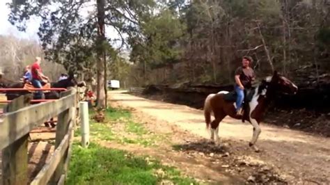 Trail Rides At Hidden Valley Guest Ranch Near Eureka Springs Arkansas Youtube