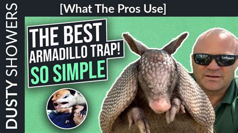 The Best Armadillo Trap What The Pros Use Simple Too Youtube