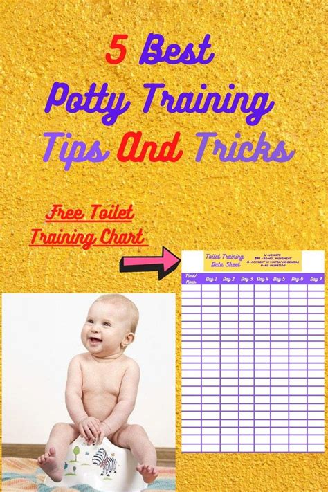 5 Best Potty Training Tips And Tricks Potty Training Tips Potty