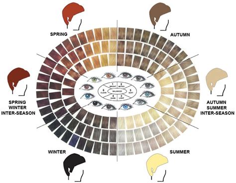 Mens Hair Eye Chart In 2019 Hair Color Techniques Hair Color Wheel