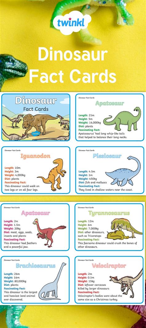 The Dinosaur Fact Cards Are On Display