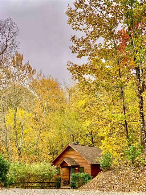 Hotels near asheville cabins of willow winds, asheville on tripadvisor: Pin by Asheville Cabins of Willow Win on Willow Winds ...