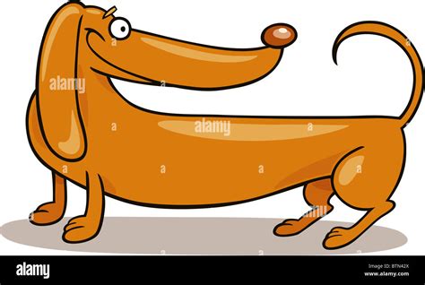 Cartoon Illustration Of Purebred Dachshund Dog Stock Photo Alamy