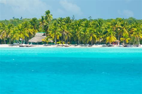 Isla Saona Un Lugar Con Mucho Encanto En República Dominicana