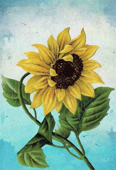 Check spelling or type a new query. Sunflower Print Set of Two Wall Art Botanical Prints ...