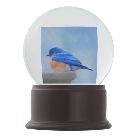Bluebird Painting Original Bird Art Snow Globe Uk
