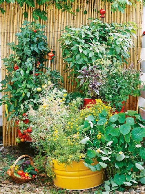 15 Stunning Container Vegetable Garden Design Ideas And Tips