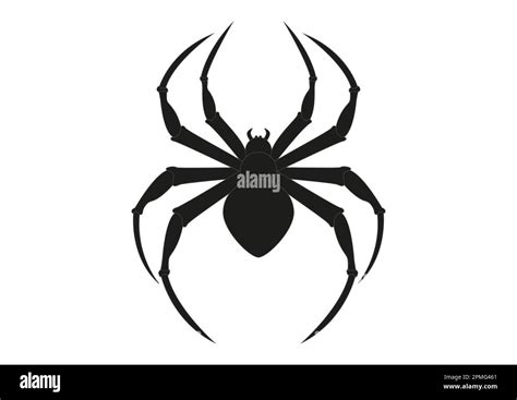 Black Spider Clipart Arachnia Illustration Of Black Spider Stock