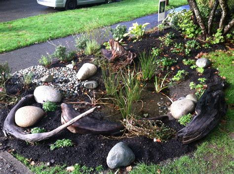 Here's how to make a rain garden in five easy steps. Seattle Home Builder Interviews Landscape Architect About ...