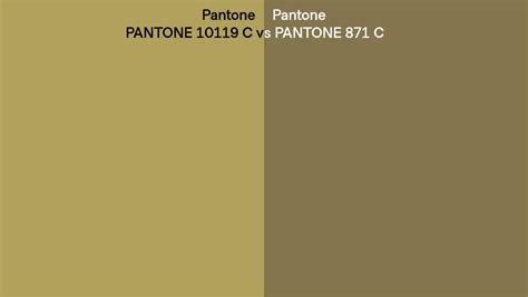 Pantone 10119 C Vs Pantone 871 C Side By Side Comparison