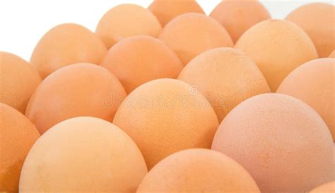 Chicken Eggs Ii Stock Photo Image Of Eggs Yolk Protein 32945360