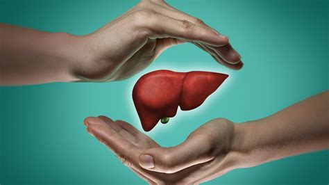 5 Stages Of Liver Diseases That You Must Know About Life At Styles