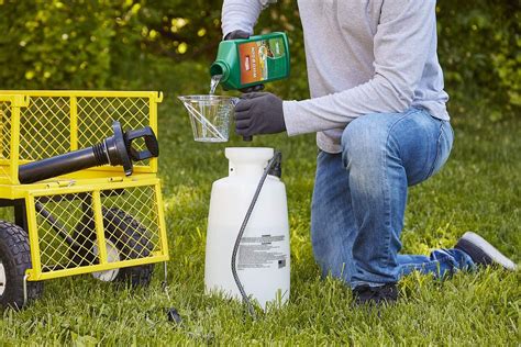 It can really spread in regions or areas where the turf stays moist and damp from higher humidity. The Best Crabgrass Killers for Weed-Free Lawns - Bob Vila
