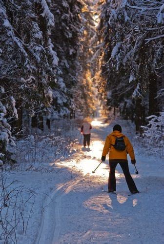 Top Winter Experiences At Voyageurs National Park