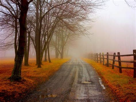 Foggy Road Autumn One Hd Wallpaper Pictures Backgrounds Autumn