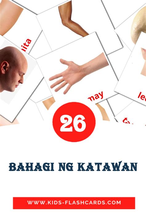 26 Free Body Parts Flashcards In 4 Pdf Formats Filipino Pictures