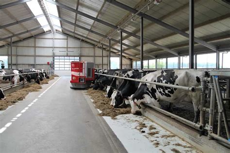 Dairy Farming In Switzerland Breeds How To Start