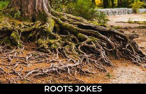 57 Roots Jokes And Funny Puns Jokojokes
