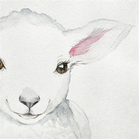 New Watercolor Painting For Farm Theme Lamb 🐐 Watercolorartideas