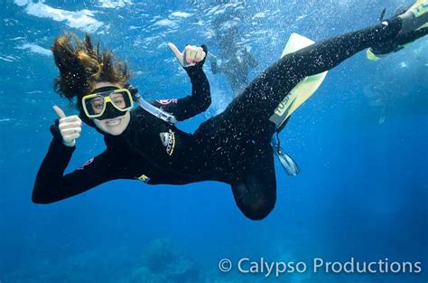 Cairns Snorkelling And Dive Tour Only 60 Guests Great Barrier Reef Trip