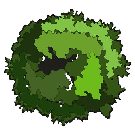 Tree Top View Vector Png