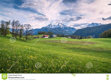 Idyllic Alpine Landscape With Green Meadows Farmhouses And Snow Capped
