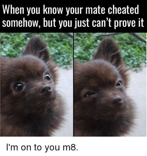 When You Know Your Mate Cheated Somehow But You Just Cant Prove It Im On To You M8 Meme On Meme