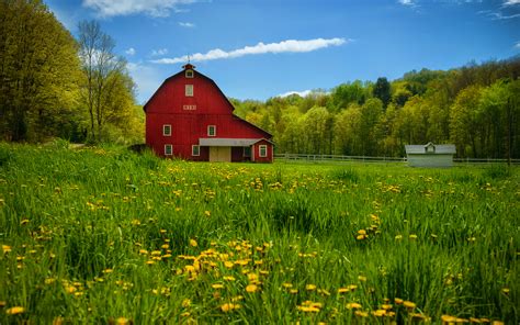 Beautiful Summer Wallpaper Countryside Hd Desktop